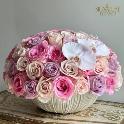Pastel Rose